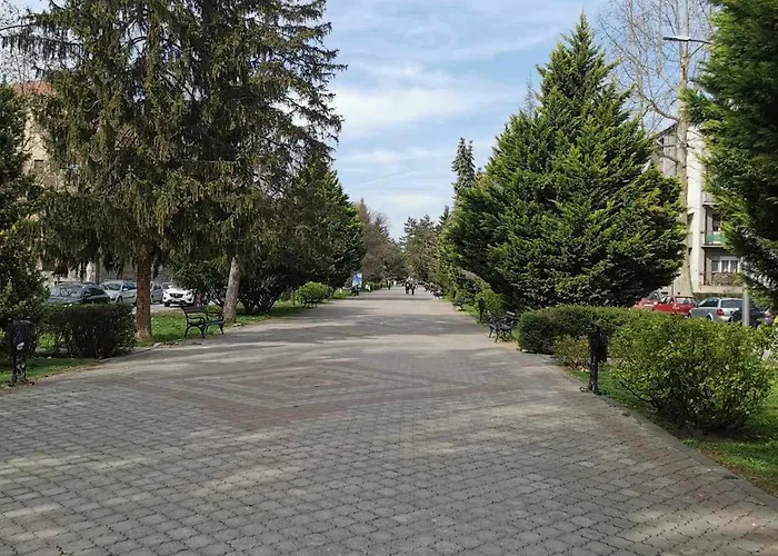 Bonsai * スボティツァ