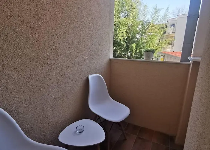 Bonsai スボティツァ